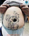 /album/galeria-de-fotos/lool7-jpg/